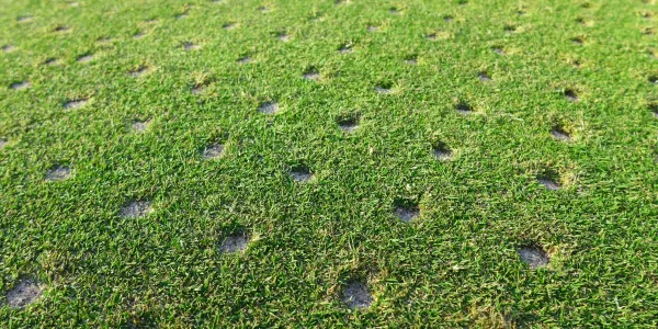 aerated lawn with holes