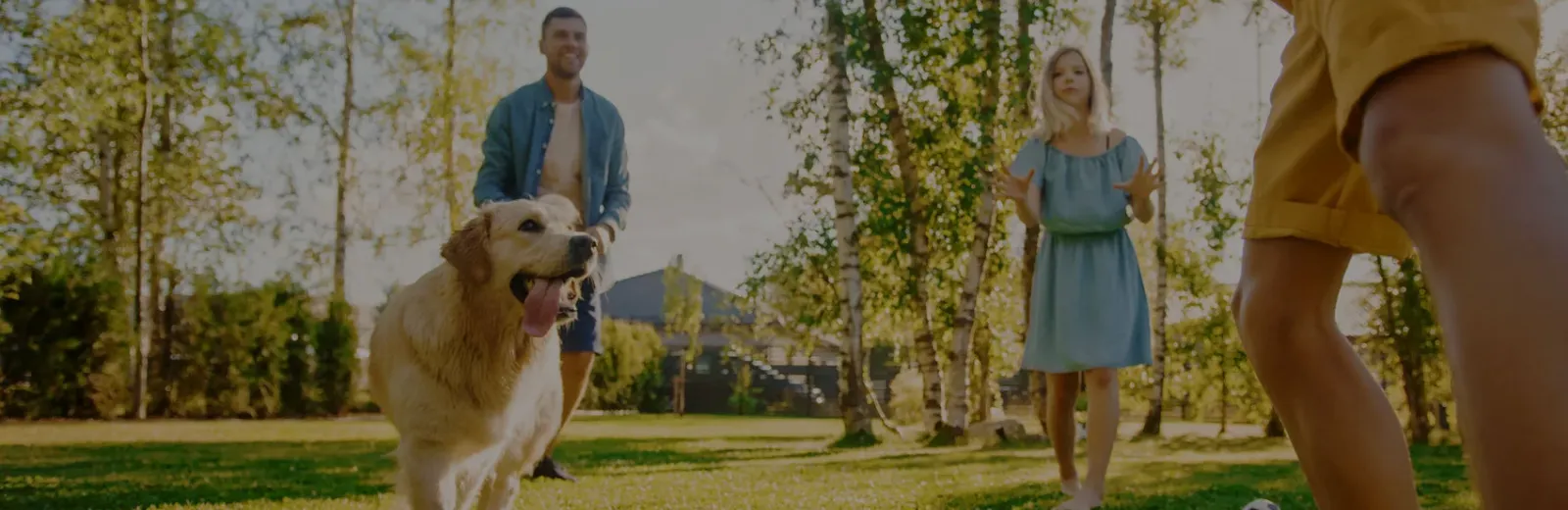 Family playing catch with dog