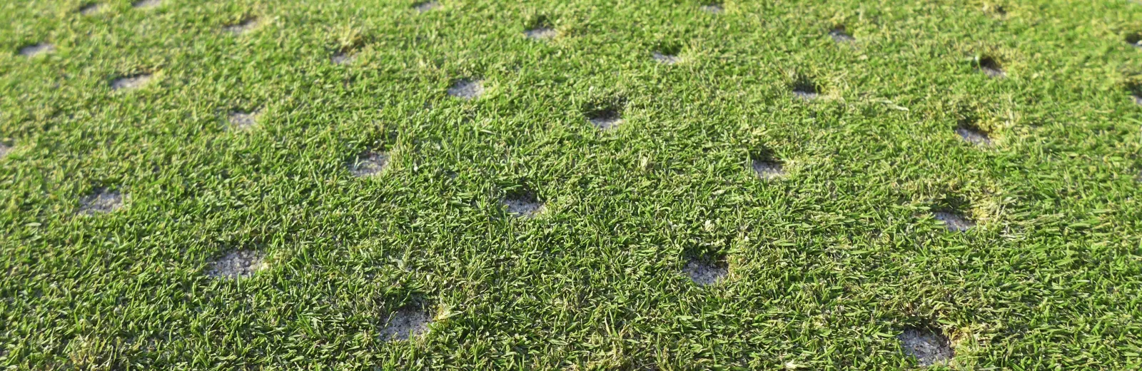 Aeration-and-seeding
