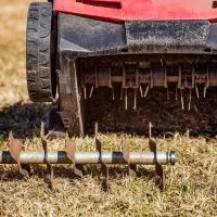 lawn aeration service
