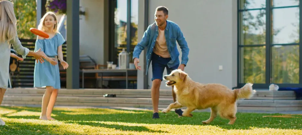 Family playing outside