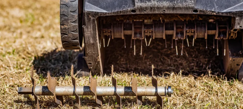 lawn aeration service