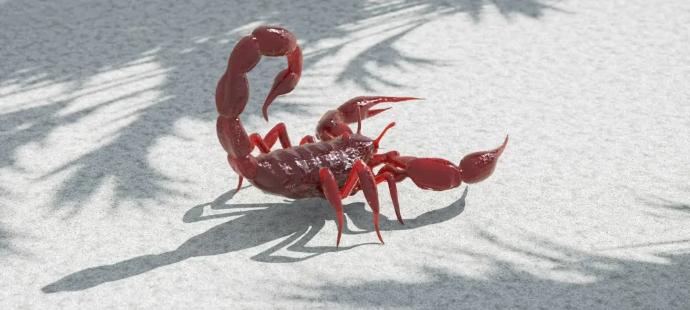 scorpion