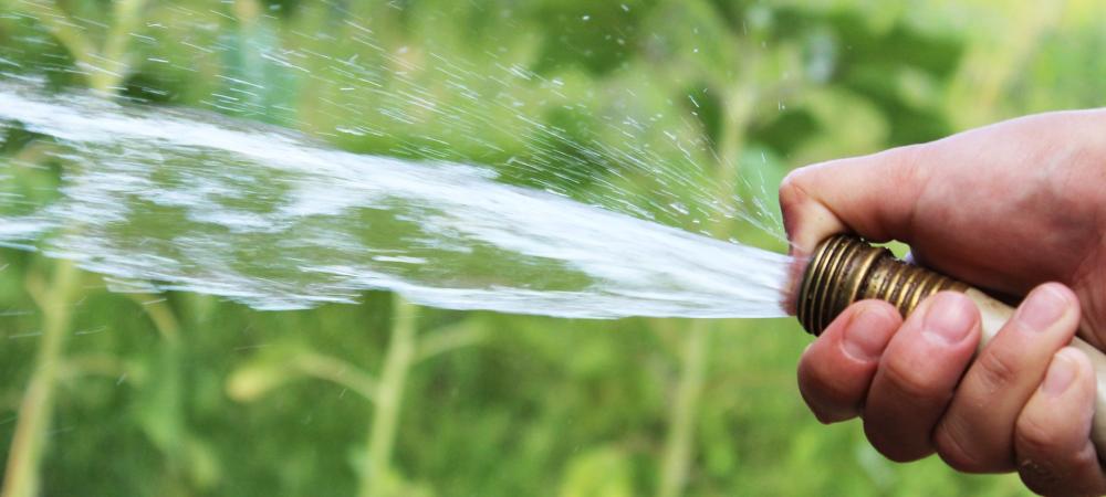 person watering their lawn using a garden hose